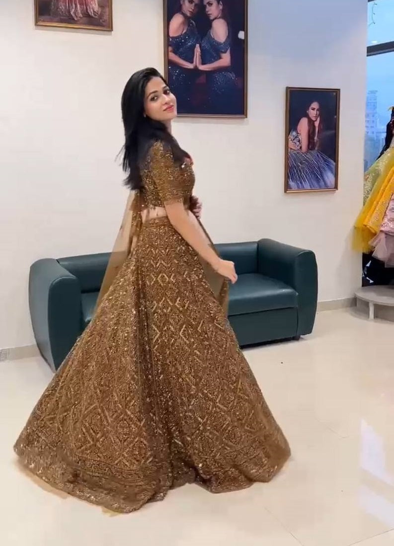 Brown Color Sequence Work Soft Net Lehenga Choli