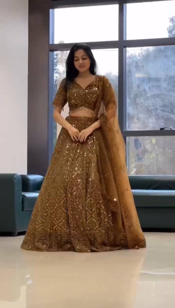 Brown Color Sequence Work Soft Net Lehenga Choli