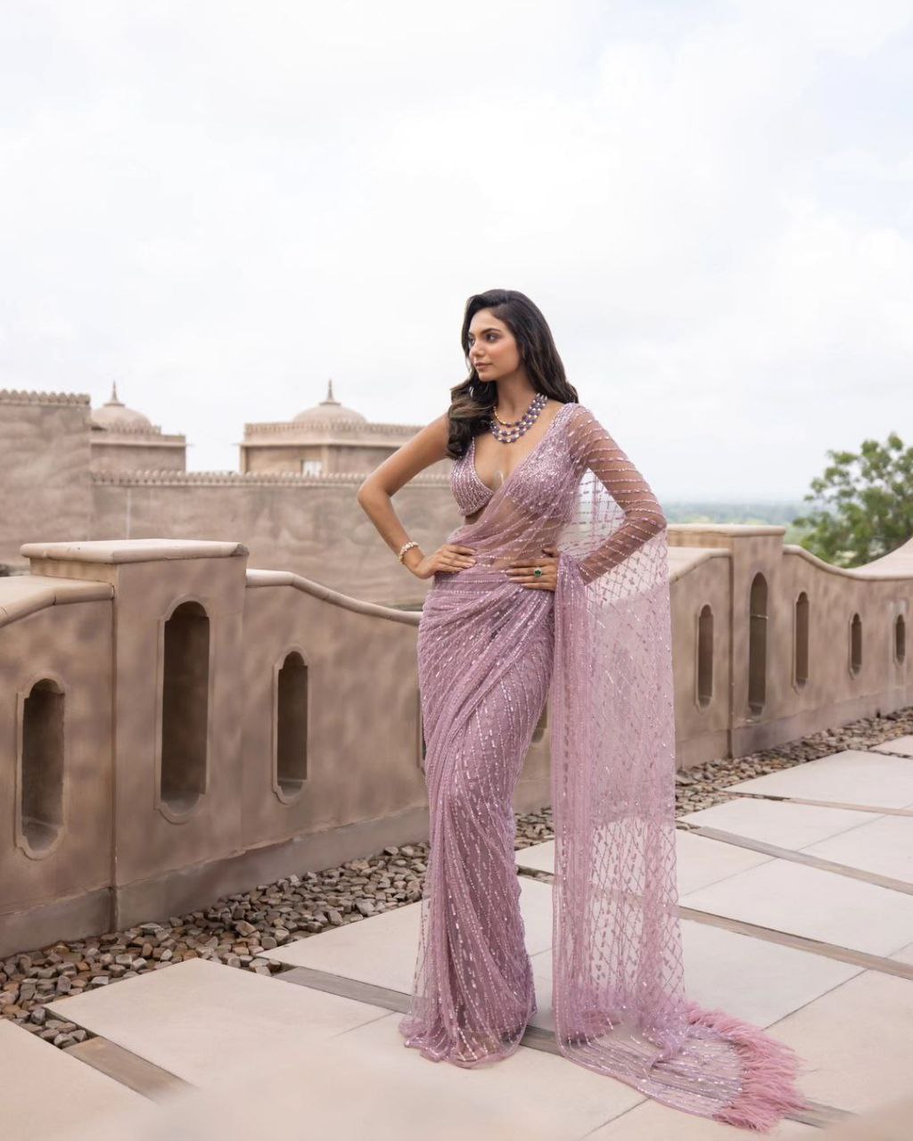 Onion Color Soft Net Sequence Work Saree